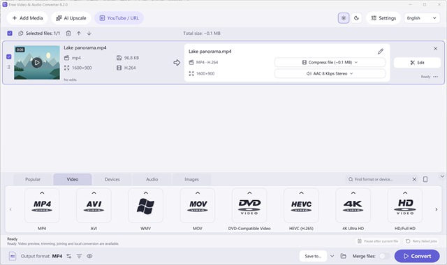 Video Format Families